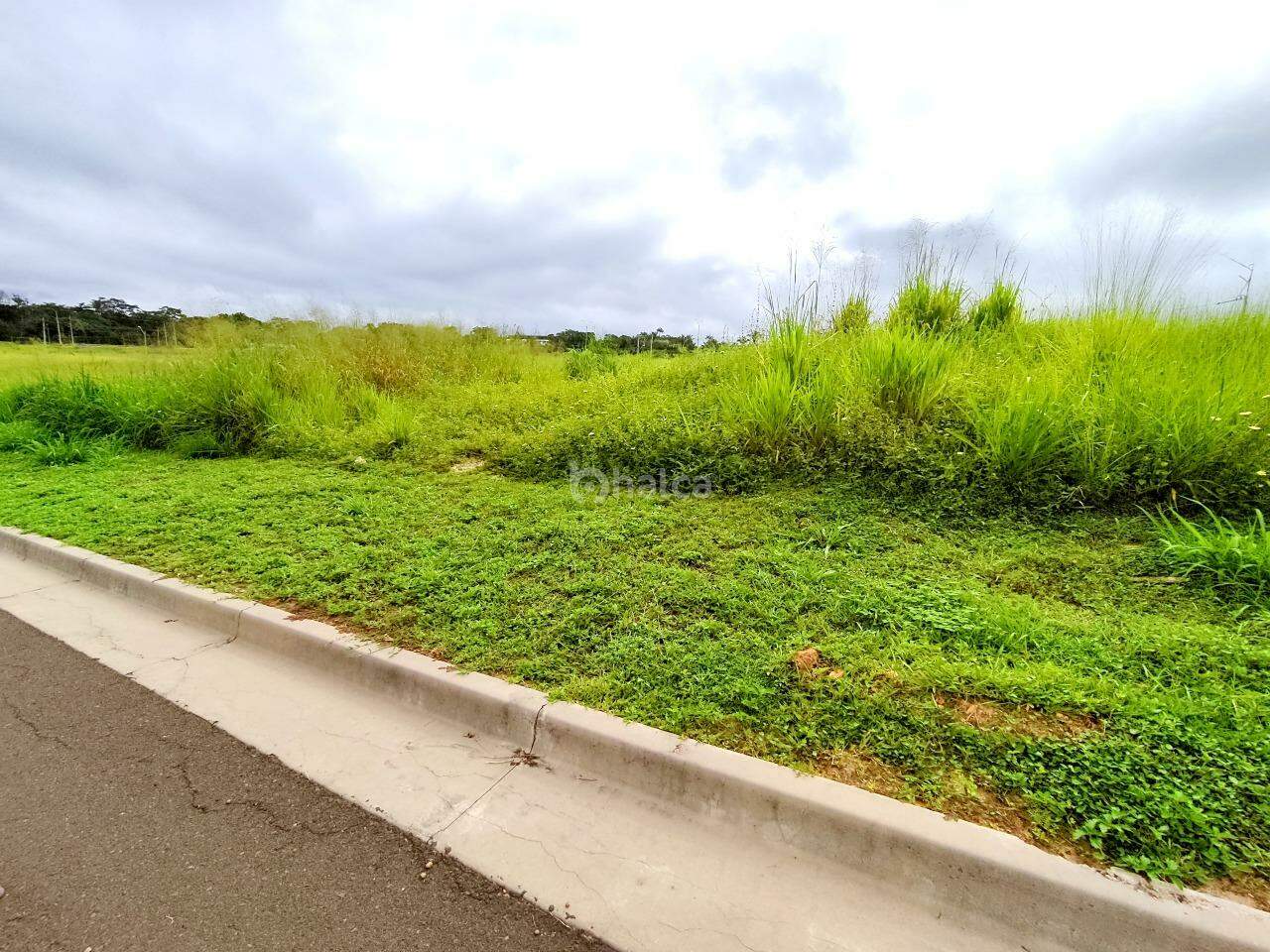 Terreno, 243 m² - Foto 4