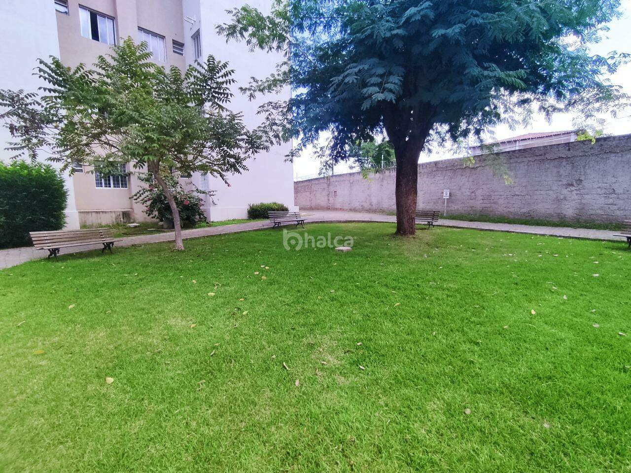 Apartamento, 3 quartos, 77 m² - Foto 13