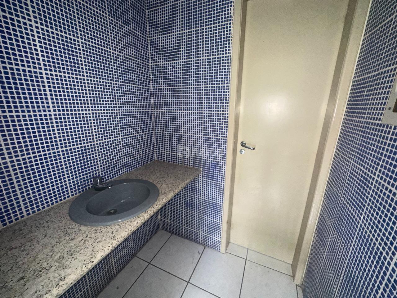 Casa, 5 quartos, 340 m² - Foto 7