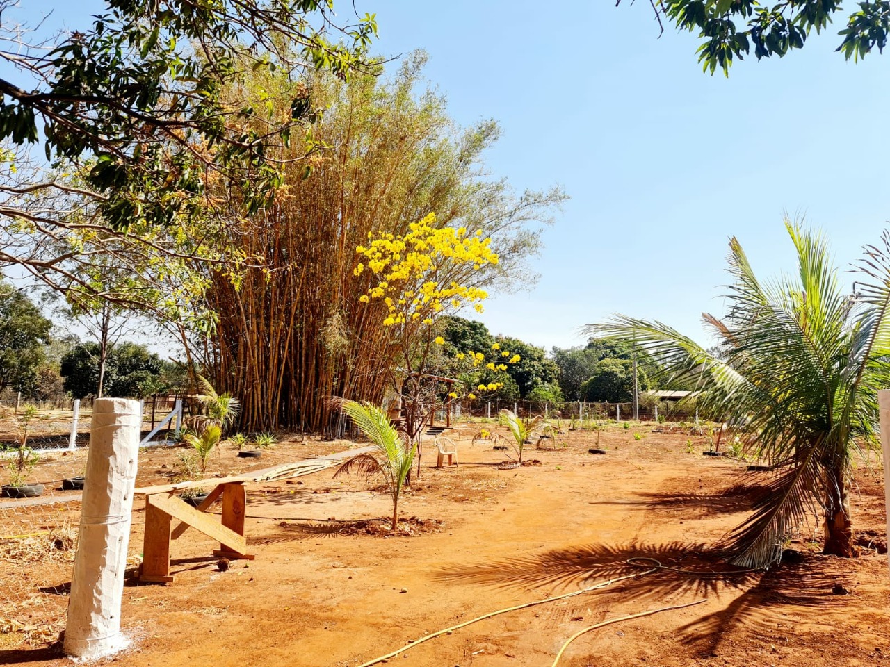 Chácara à venda no Jardim Tarumã: 