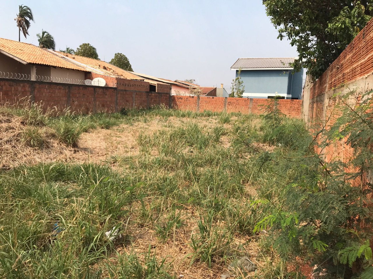 Terreno à venda no Vila Santa Luzia: 