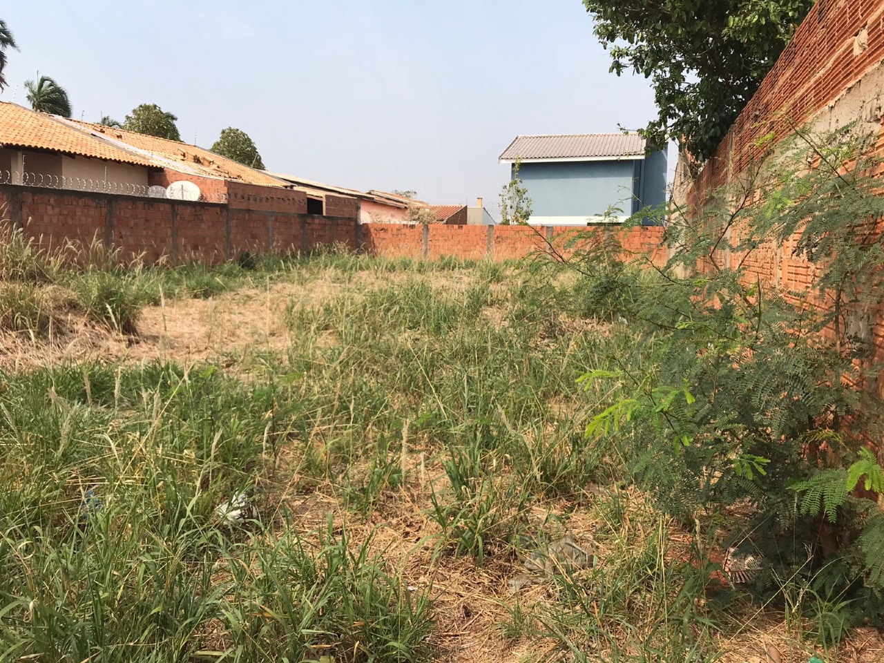 Terreno à venda no Vila Santa Luzia: 