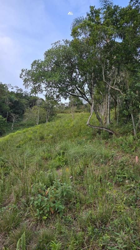 Terreno à venda no Estados: 