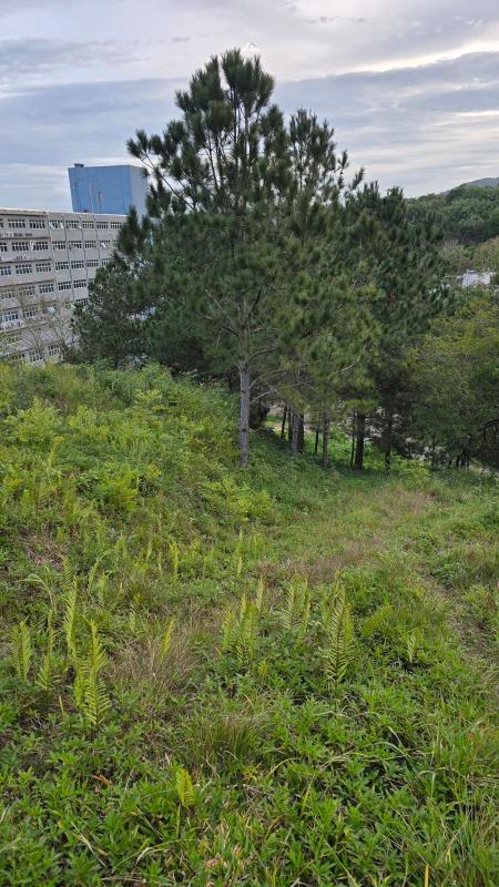 Terreno à venda no Estados: 