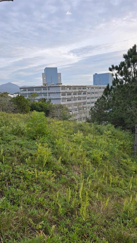 Terreno à venda no Estados: 