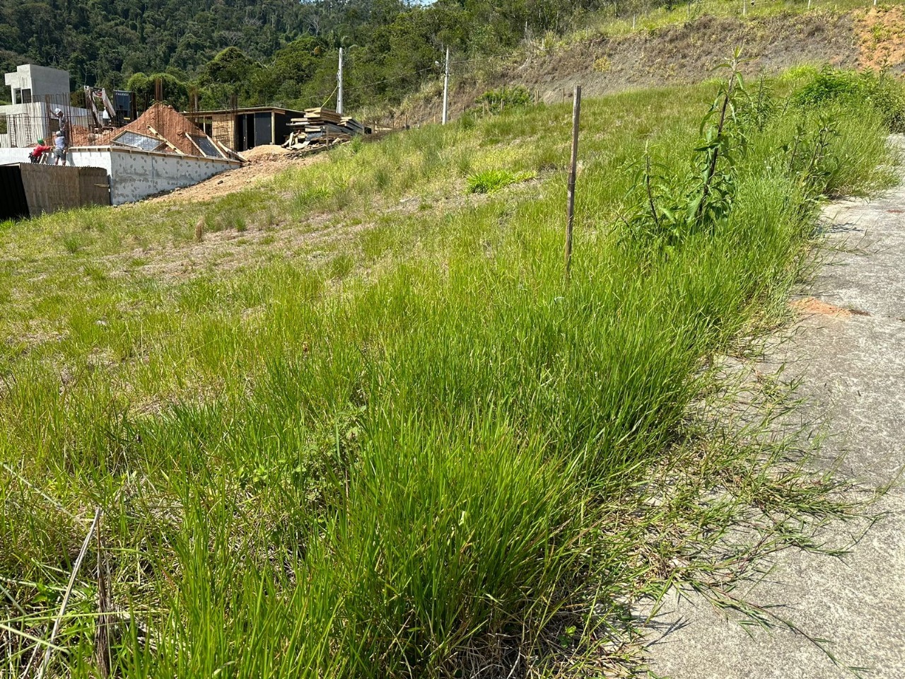 Terreno à venda no São Francisco de Assis: 