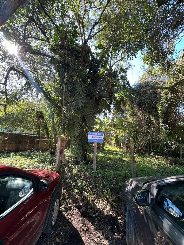 Terreno à venda no Praia do Estaleiro: 