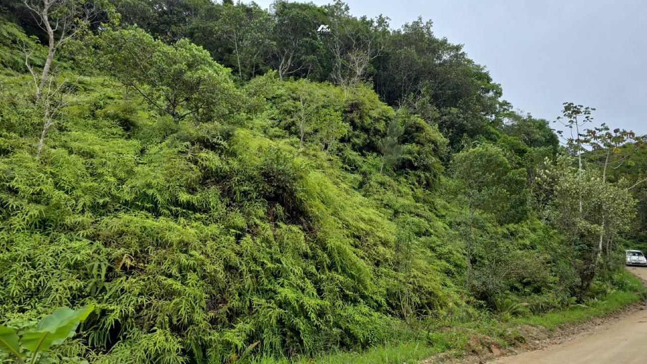 Terreno à venda no Barra: 
