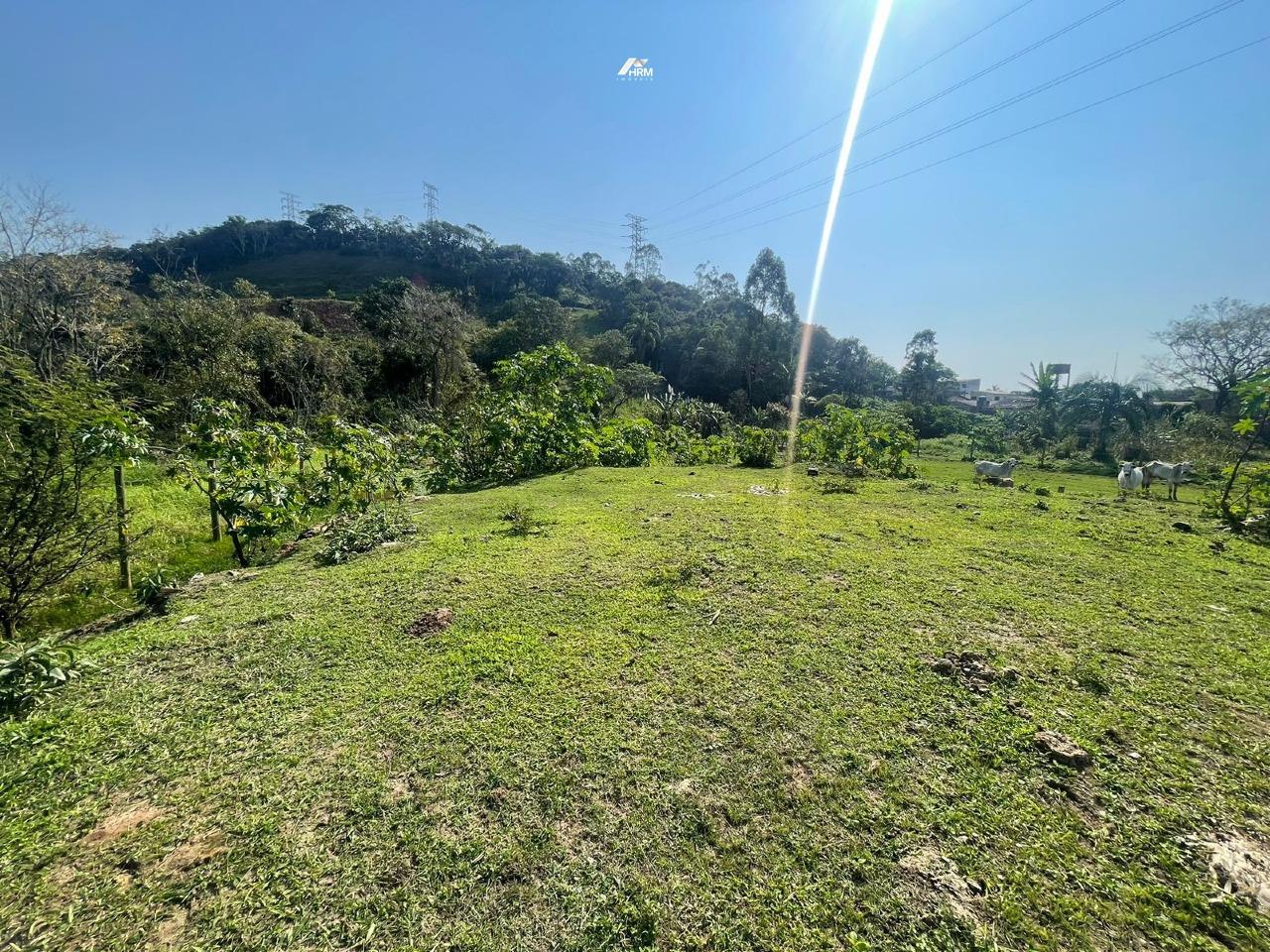 Terreno à venda no Rio Pequeno: 