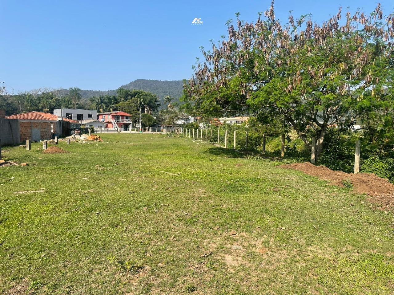 Terreno à venda no Cedro: 