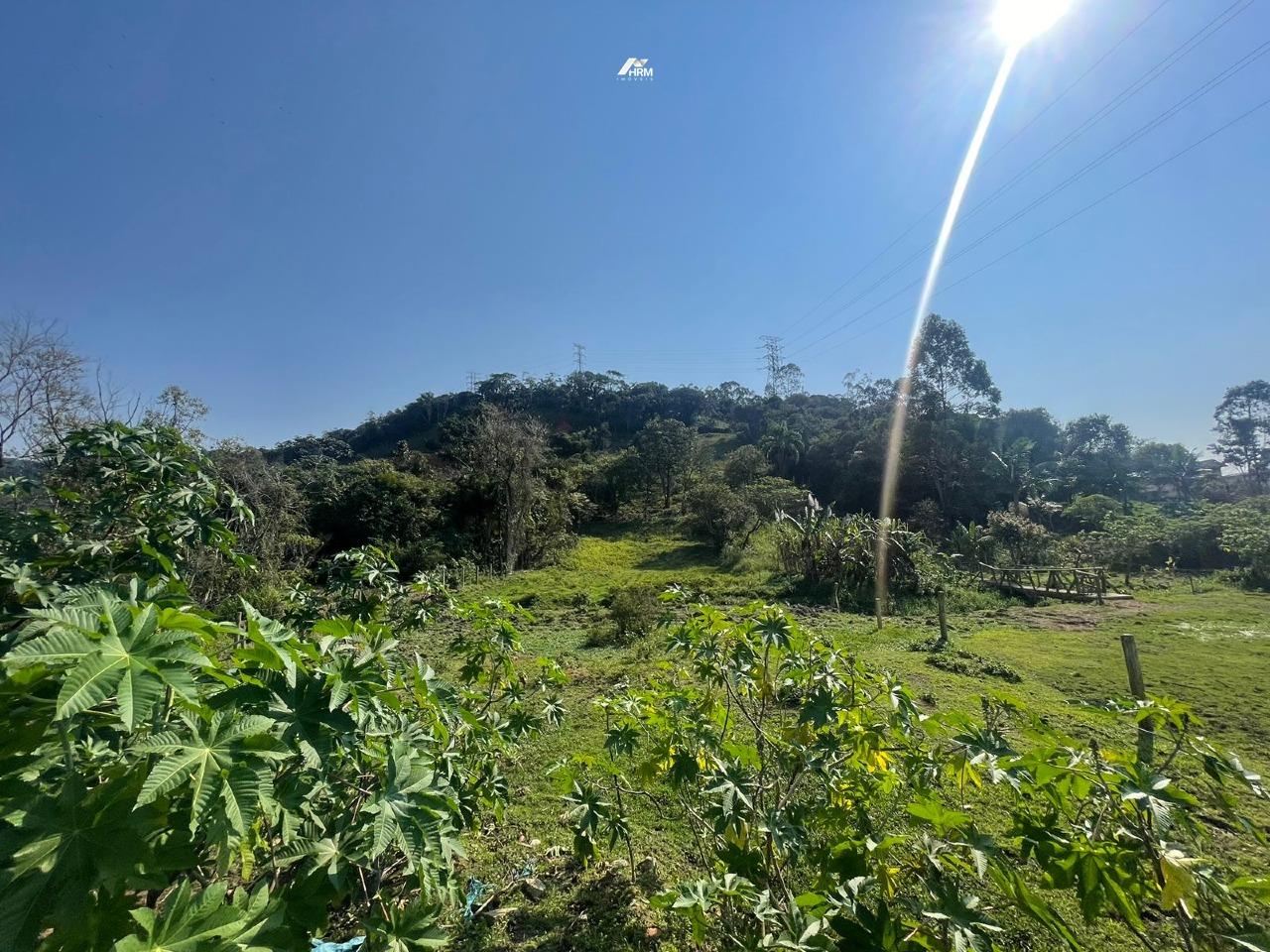 Terreno à venda no Cedro: 