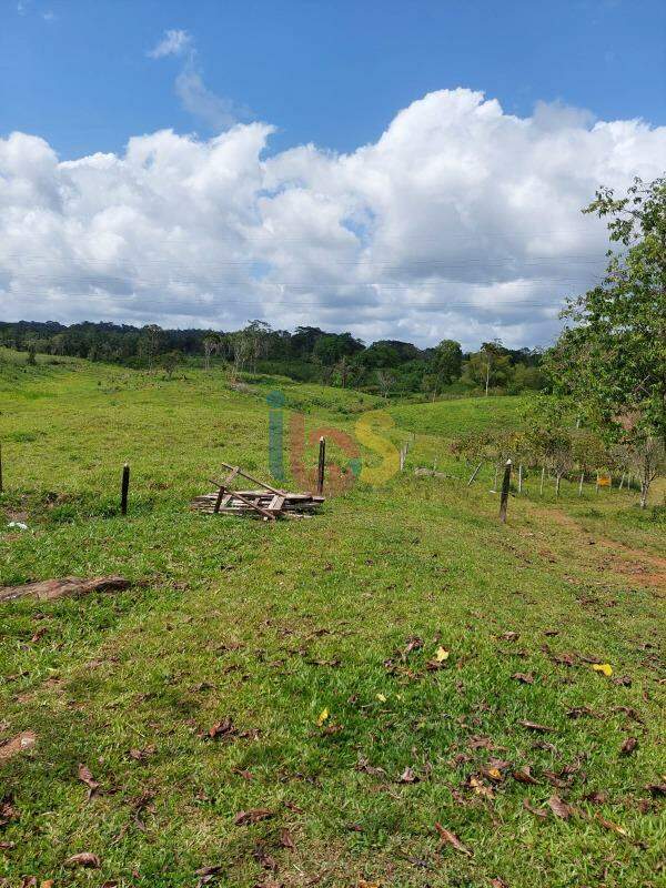 Fazenda à venda - Foto 19