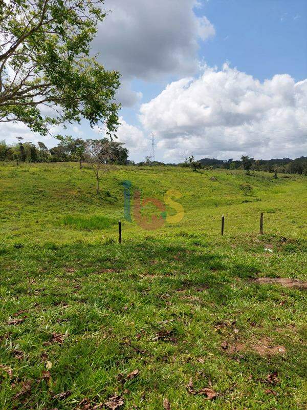 Fazenda à venda - Foto 18