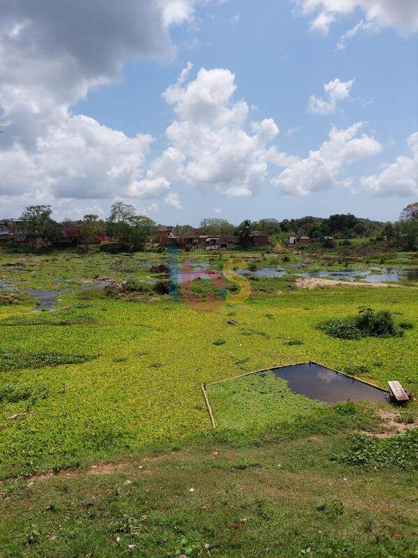 Fazenda à venda - Foto 12