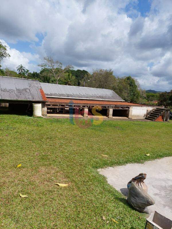 Fazenda à venda - Foto 3