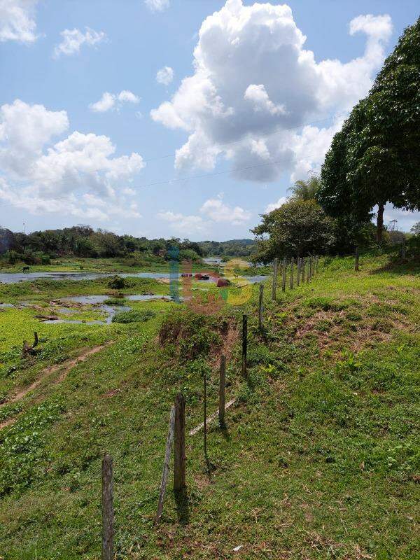 Fazenda à venda - Foto 9