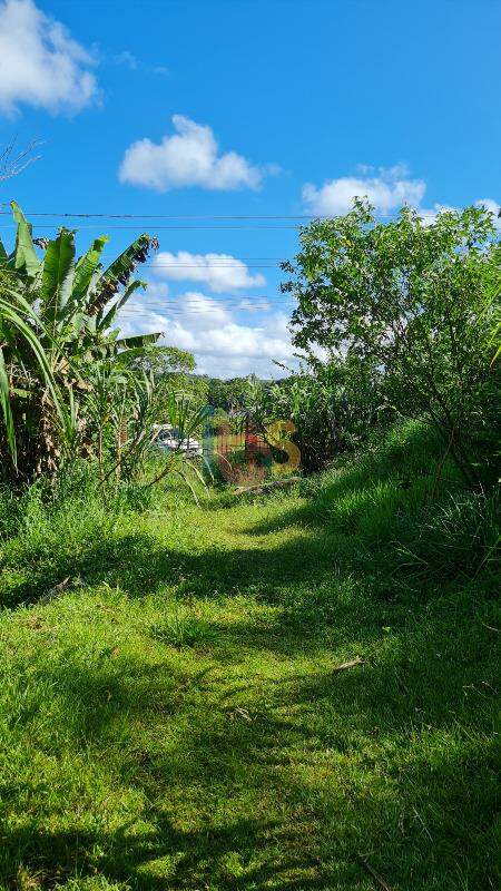 Terreno à venda, 180000m² - Foto 1