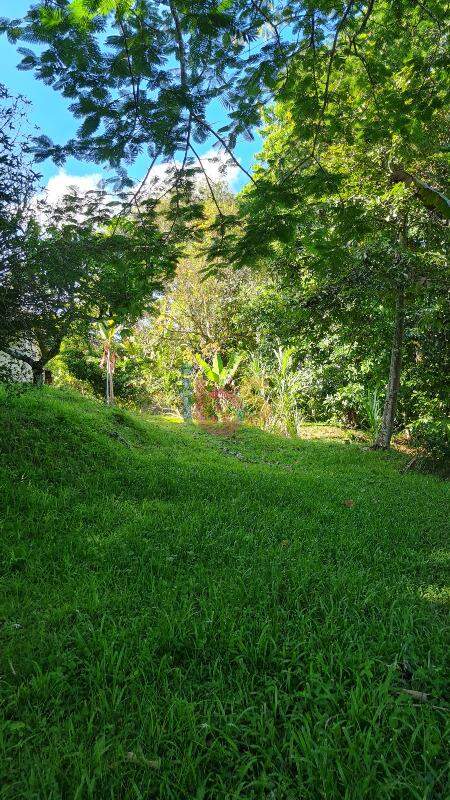 Terreno à venda, 180000m² - Foto 4