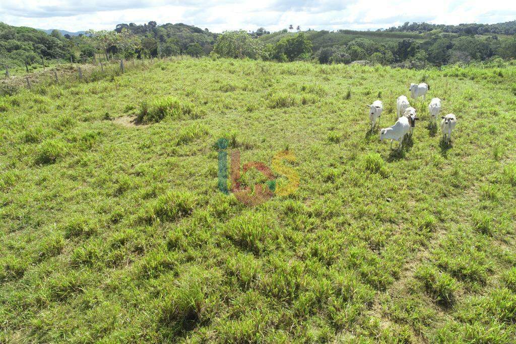 Fazenda à venda - Foto 10