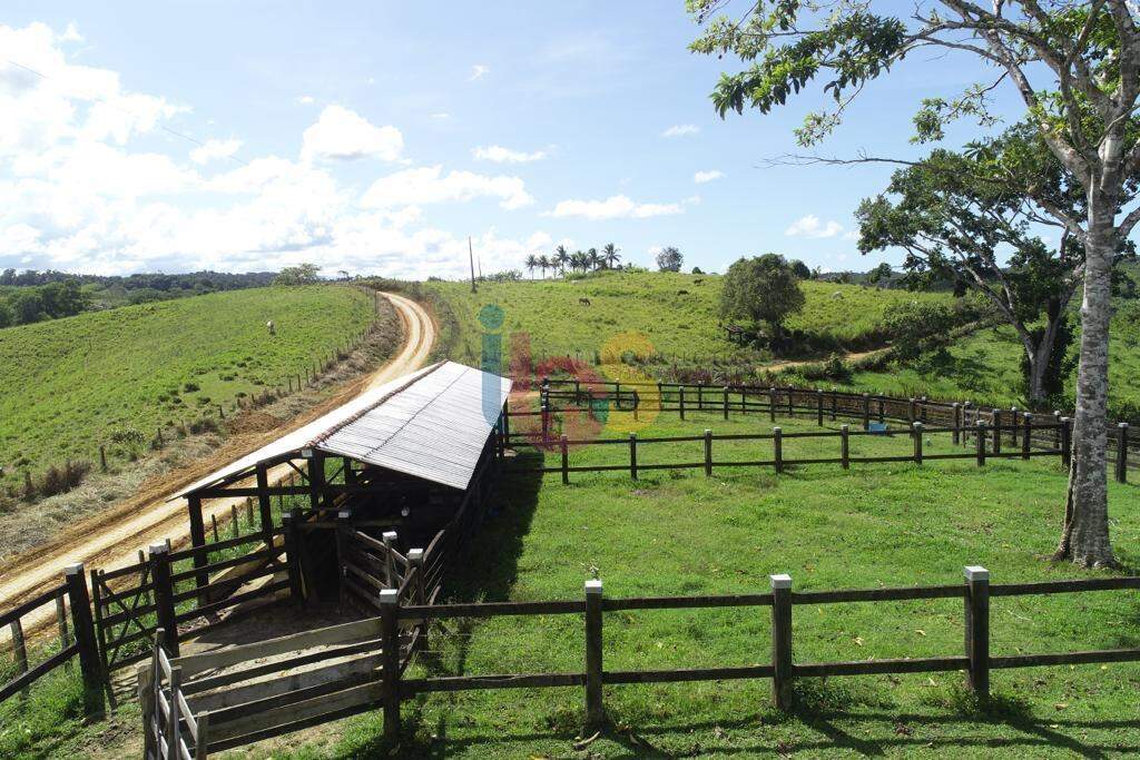 Fazenda à venda - Foto 15