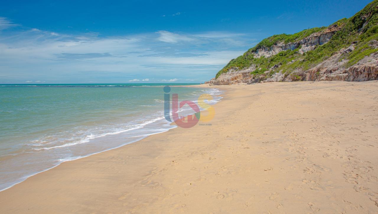 Terreno, 3700 m² - Foto 3