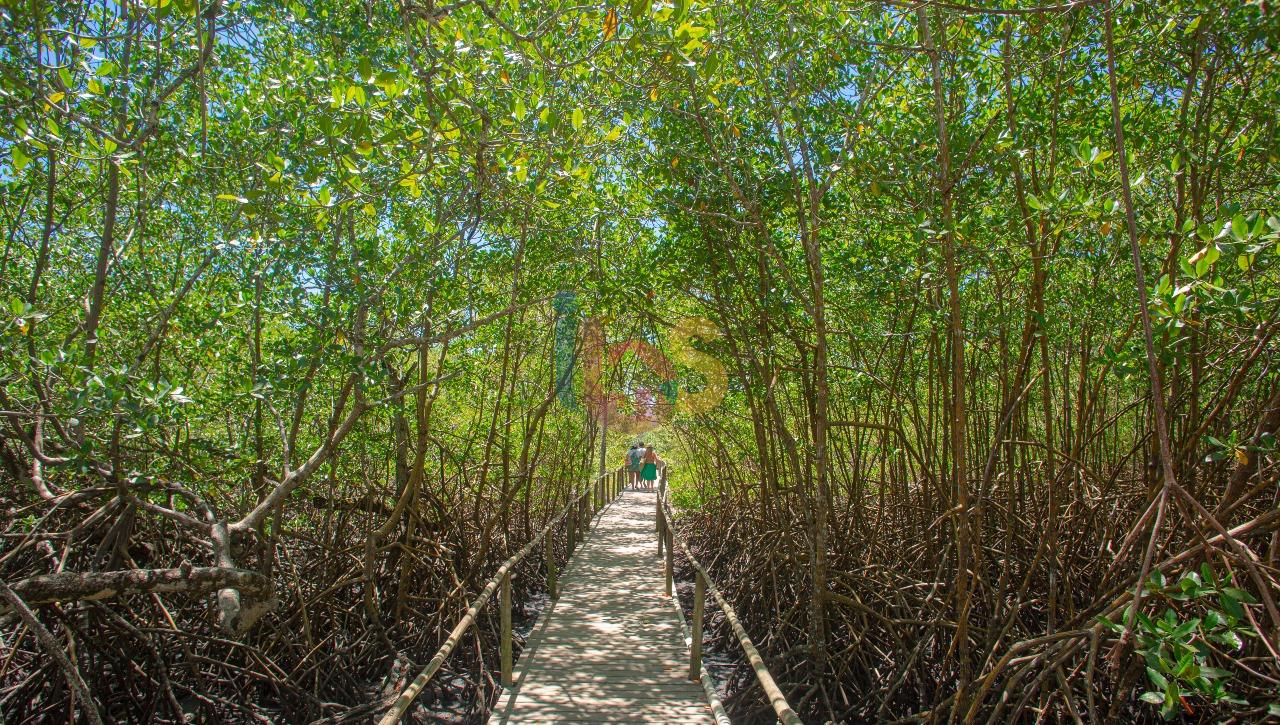 Terreno, 3700 m² - Foto 15