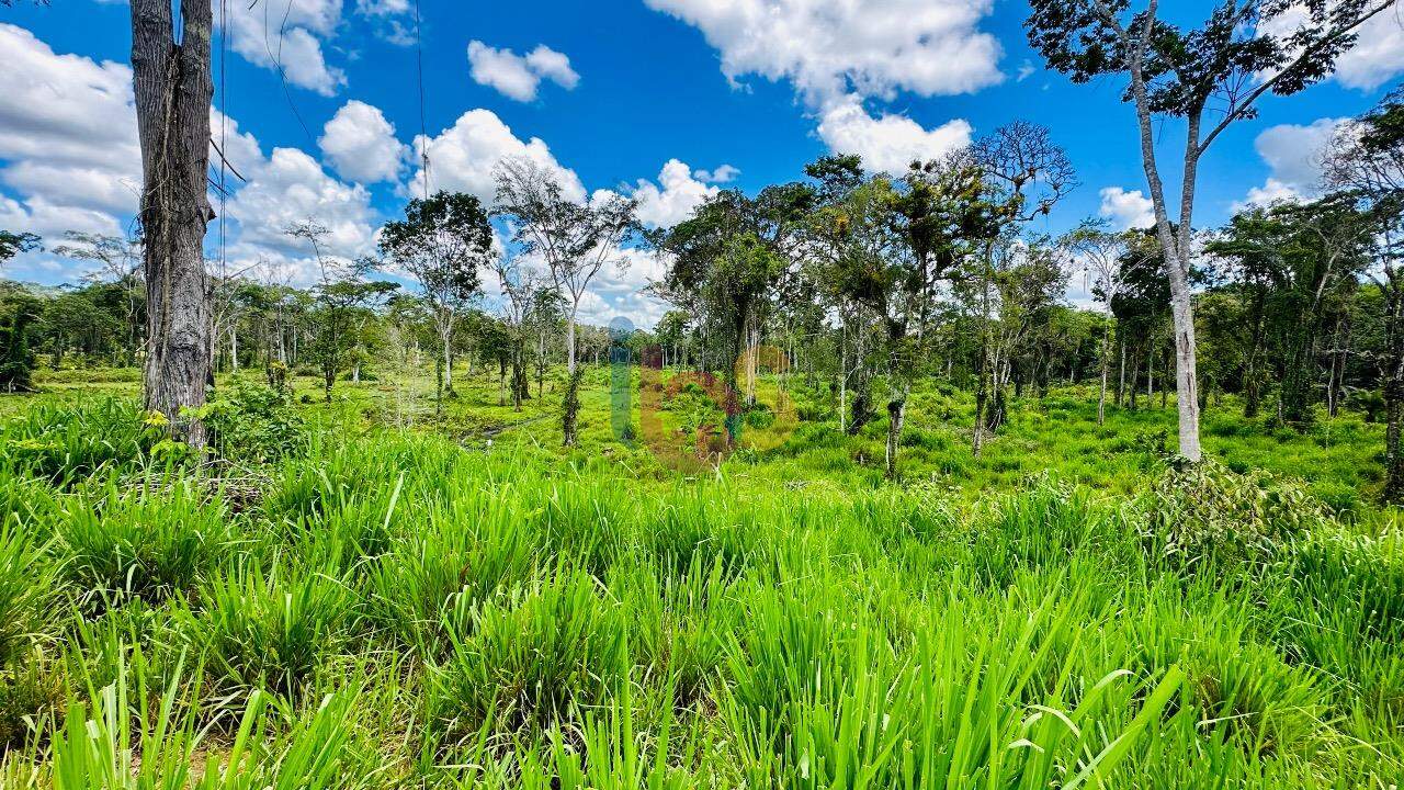 Fazenda à venda com 2 quartos - Foto 9