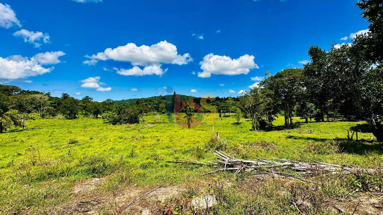 Fazenda à venda com 2 quartos - Foto 14