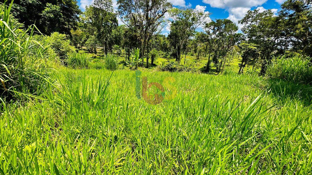 Fazenda à venda com 2 quartos - Foto 18