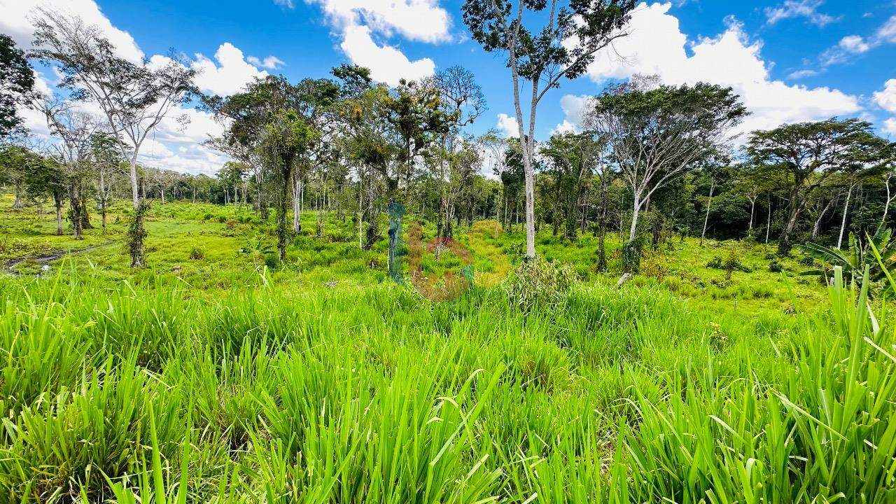 Fazenda à venda com 2 quartos - Foto 10