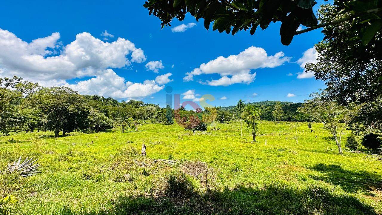 Fazenda à venda com 2 quartos - Foto 13