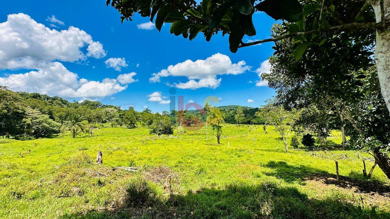 Fazenda à venda com 2 quartos - Foto 12