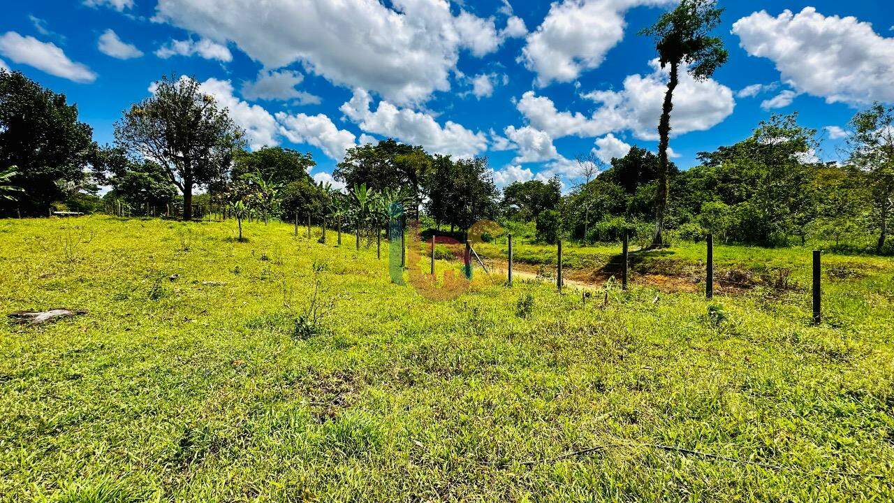 Fazenda à venda com 2 quartos - Foto 8