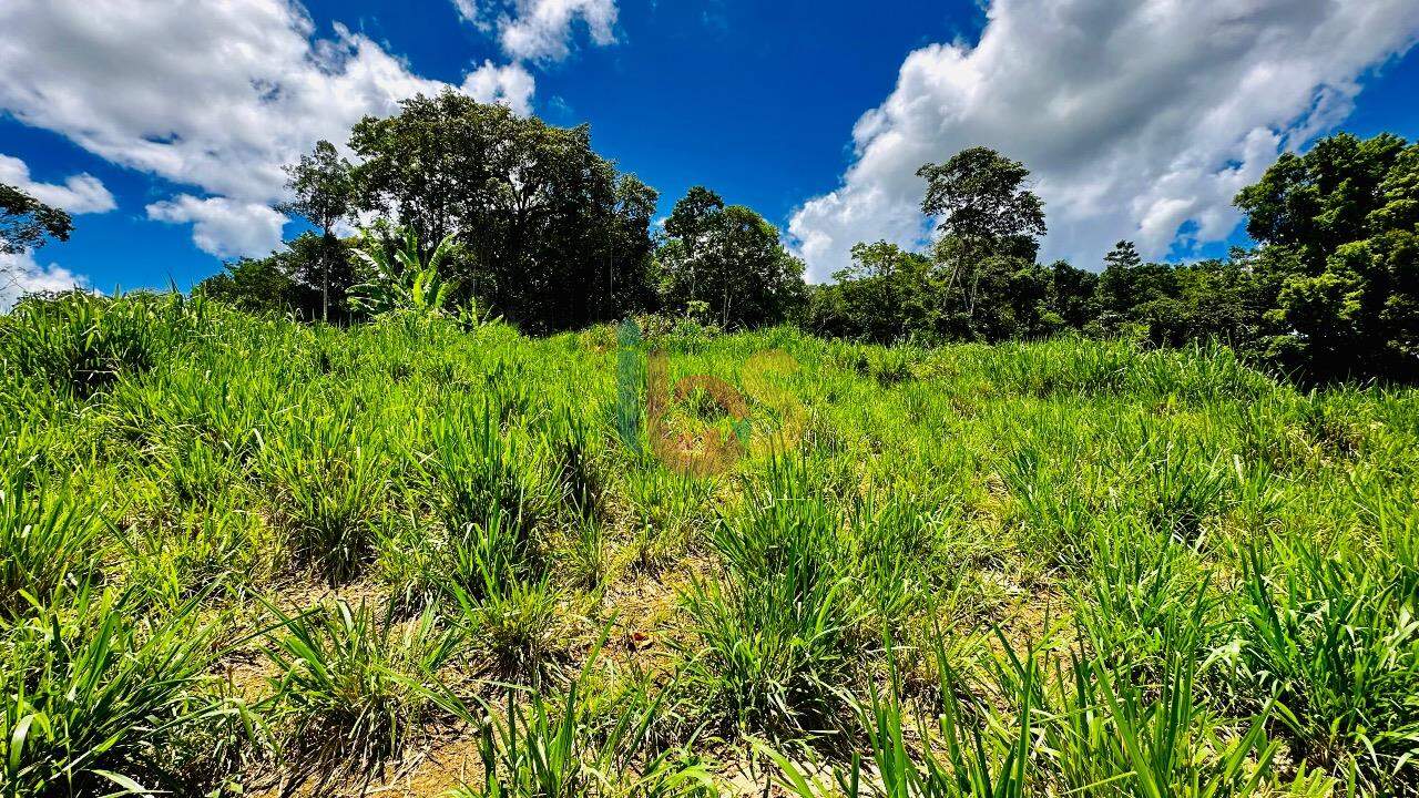 Fazenda à venda com 2 quartos - Foto 6