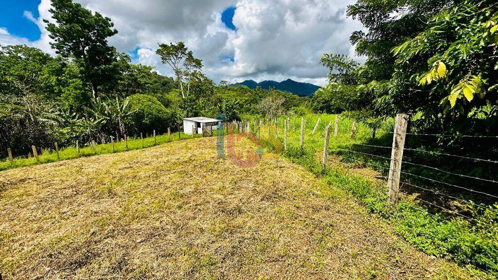 Fazenda à venda - Foto 9