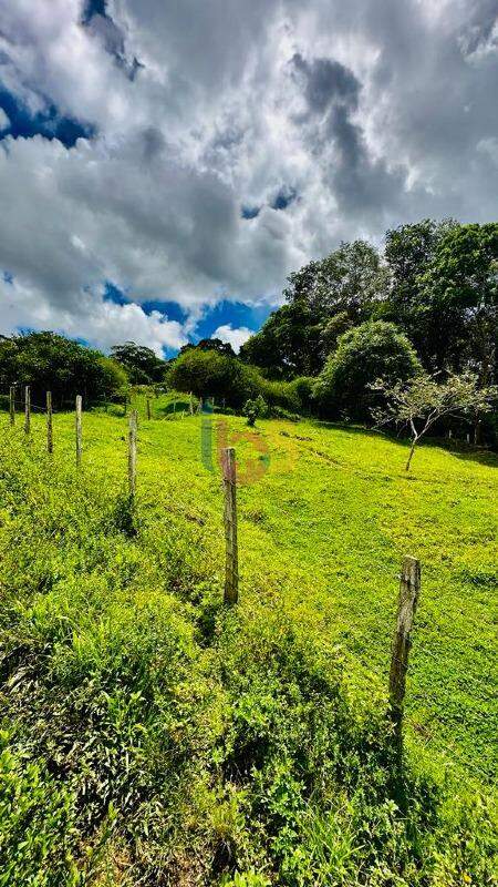 Fazenda à venda - Foto 12