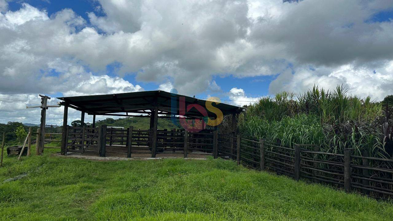 Fazenda à venda com 3 quartos - Foto 14