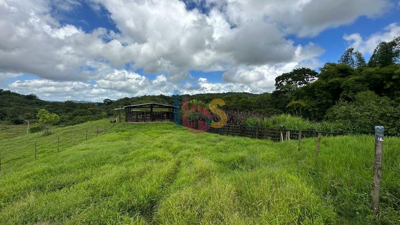 Fazenda à venda com 3 quartos - Foto 13