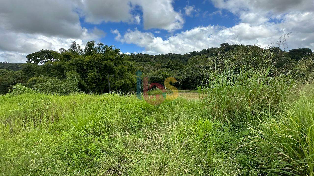 Fazenda à venda com 3 quartos - Foto 15