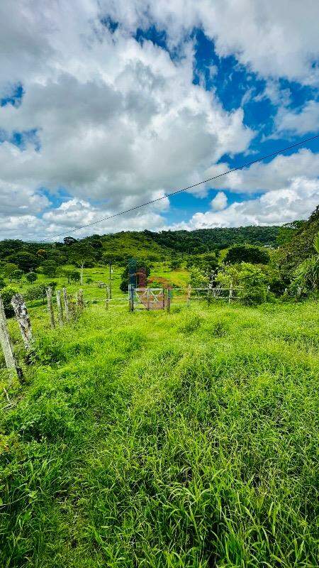 Fazenda à venda com 3 quartos - Foto 11