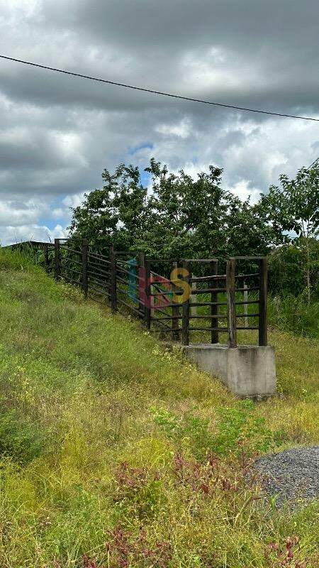 Fazenda à venda com 3 quartos - Foto 17