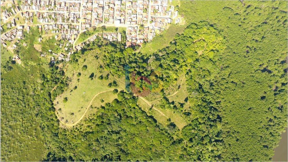 Terreno, 41 hectares - Foto 4