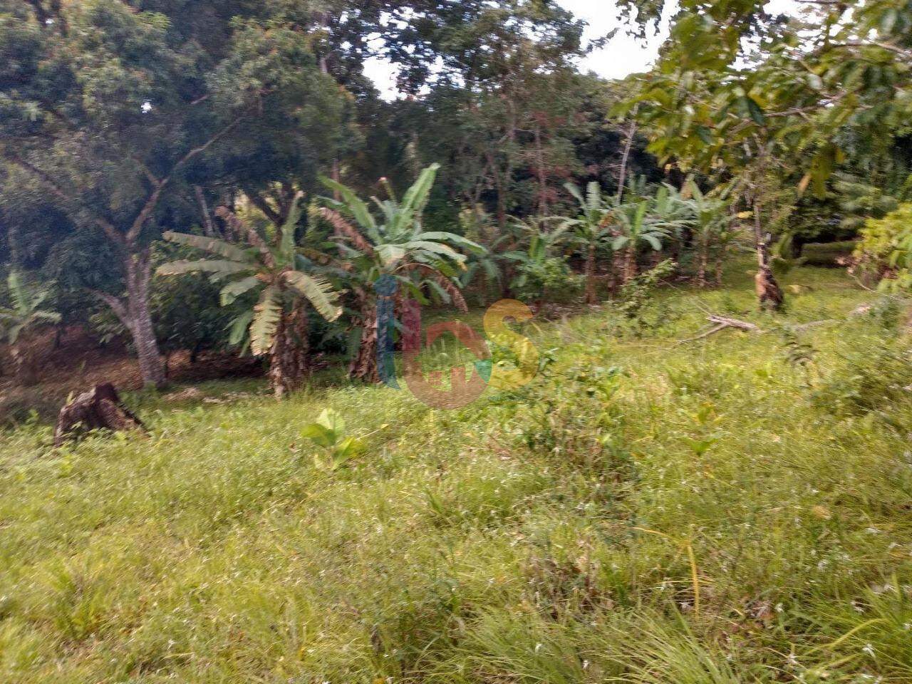 Terreno à venda, 300000m² - Foto 3