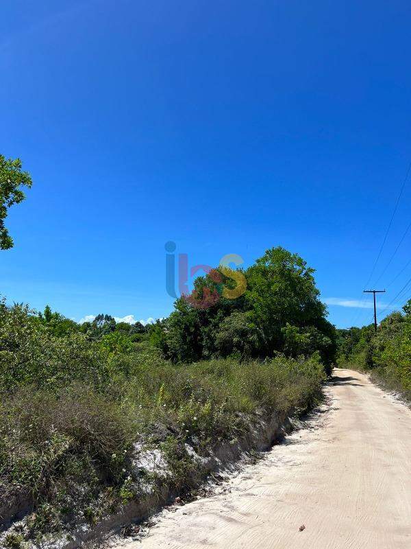 Terreno à venda, 10000m² - Foto 2