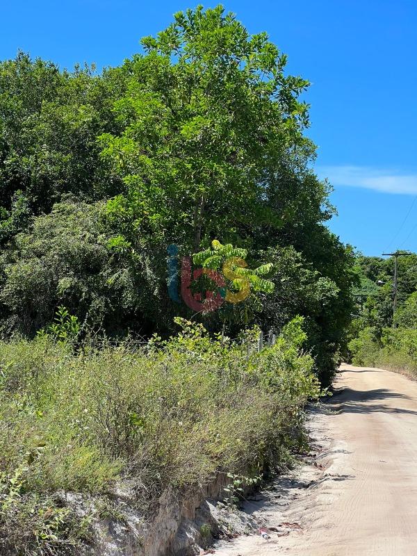 Terreno à venda, 10000m² - Foto 3