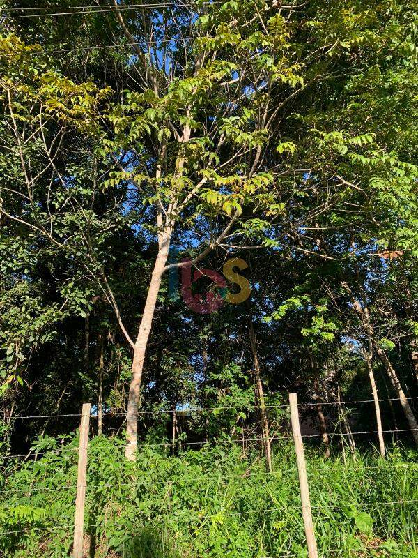 Terreno, 720 m² - Foto 5