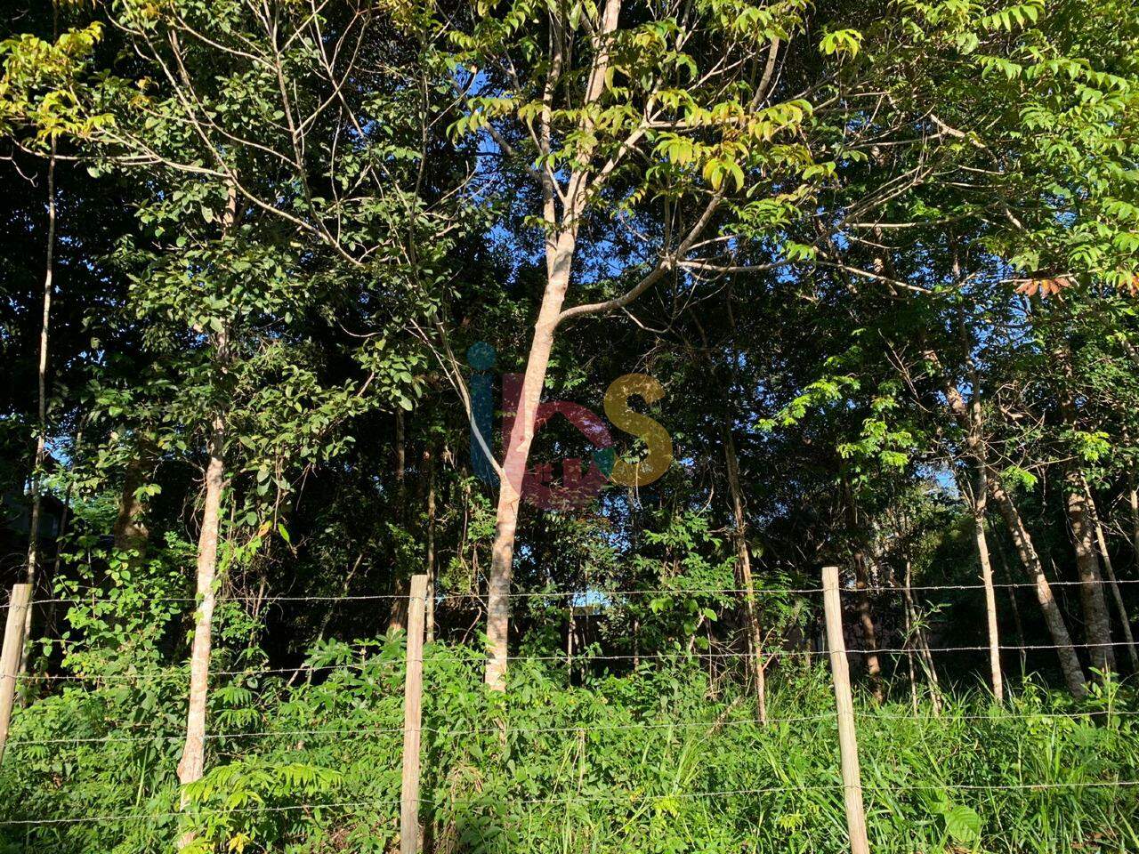 Terreno, 720 m² - Foto 4