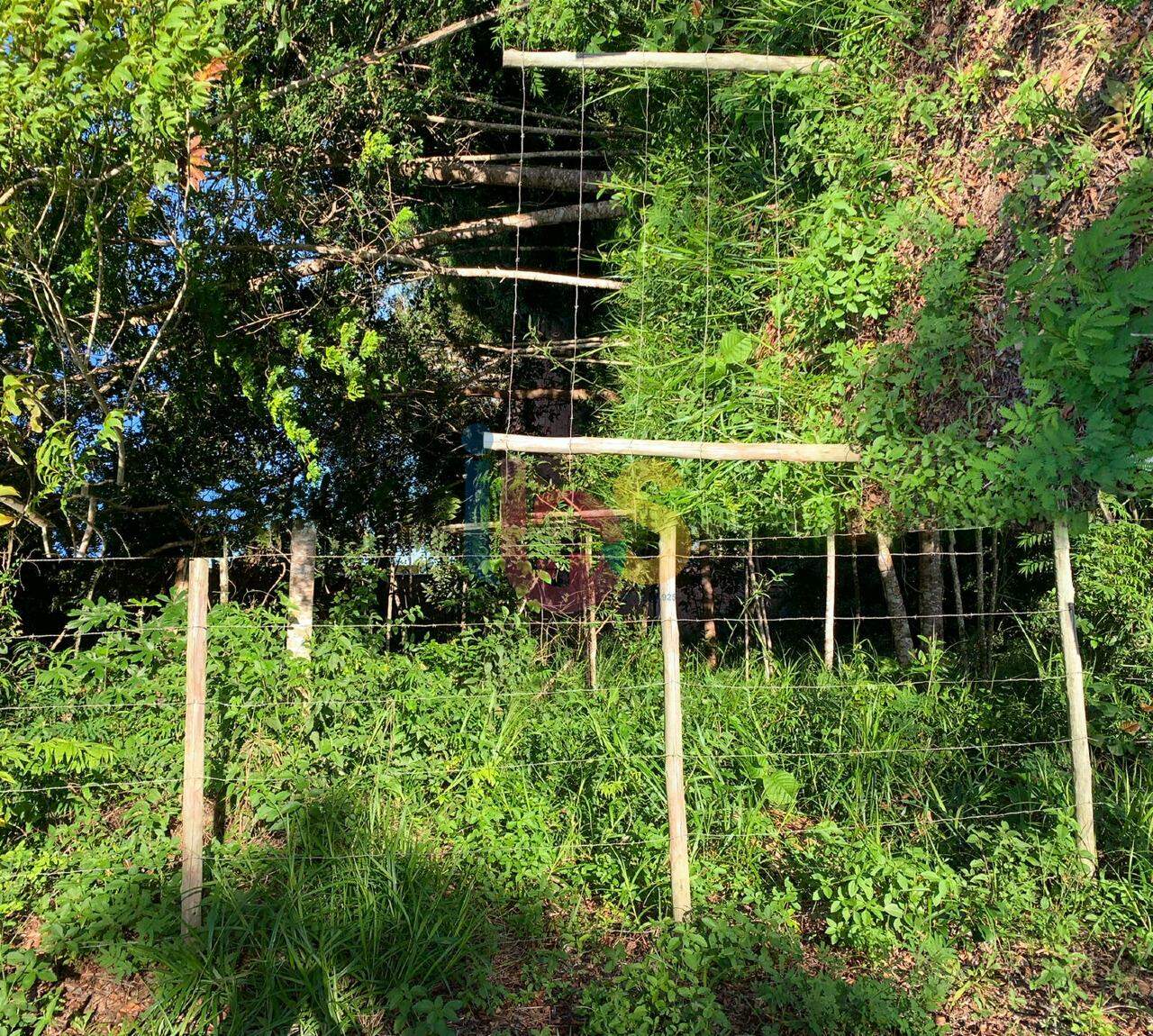 Terreno, 720 m² - Foto 2