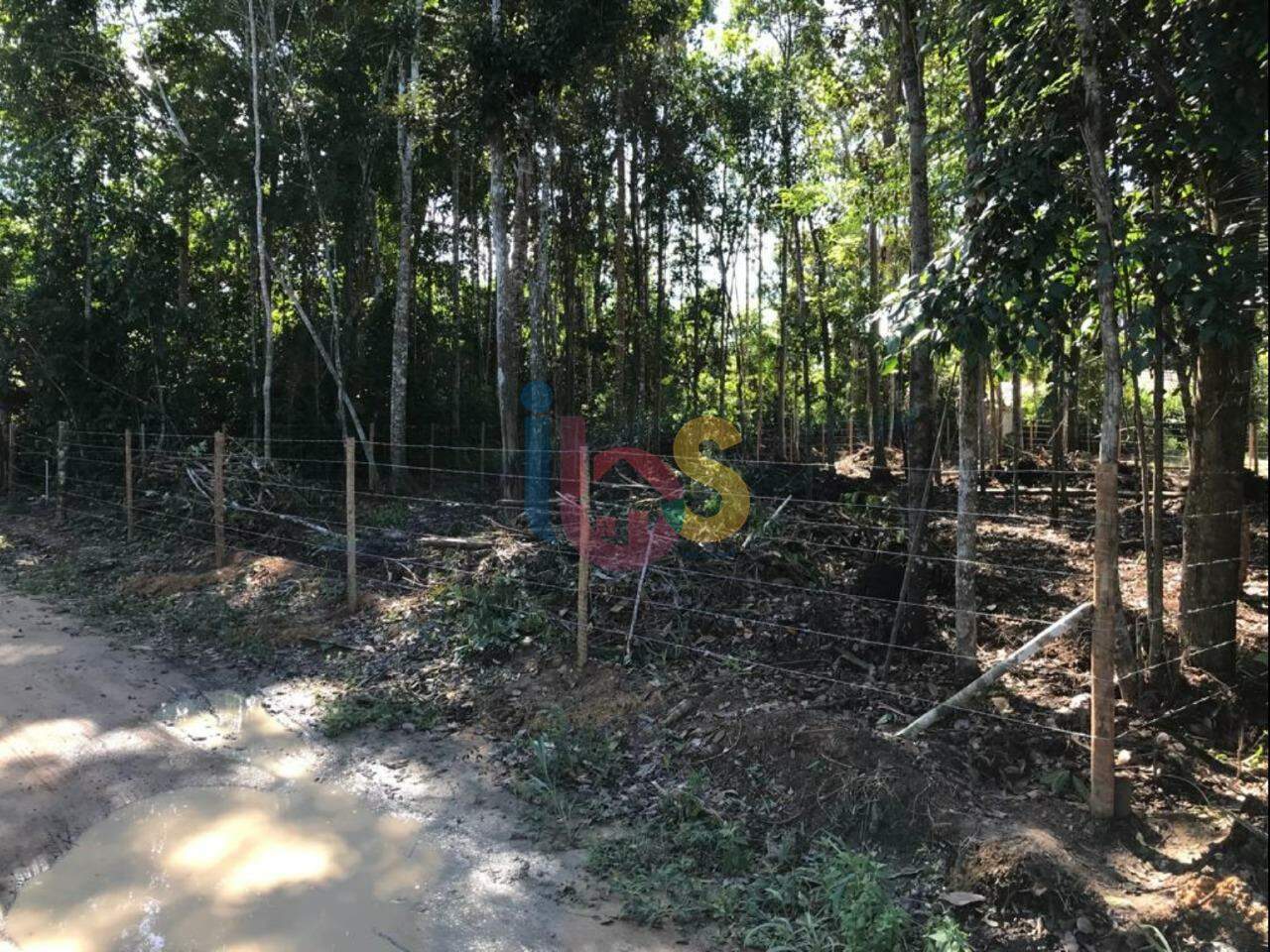 Terreno, 729 m² - Foto 5