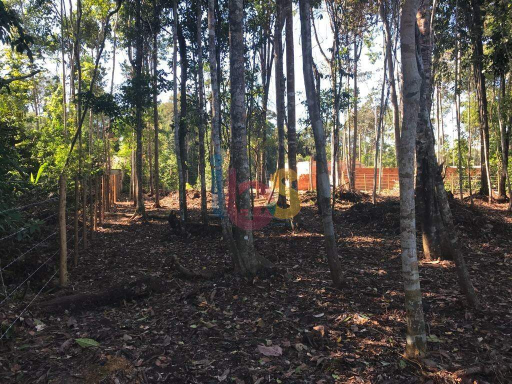 Terreno, 729 m² - Foto 3